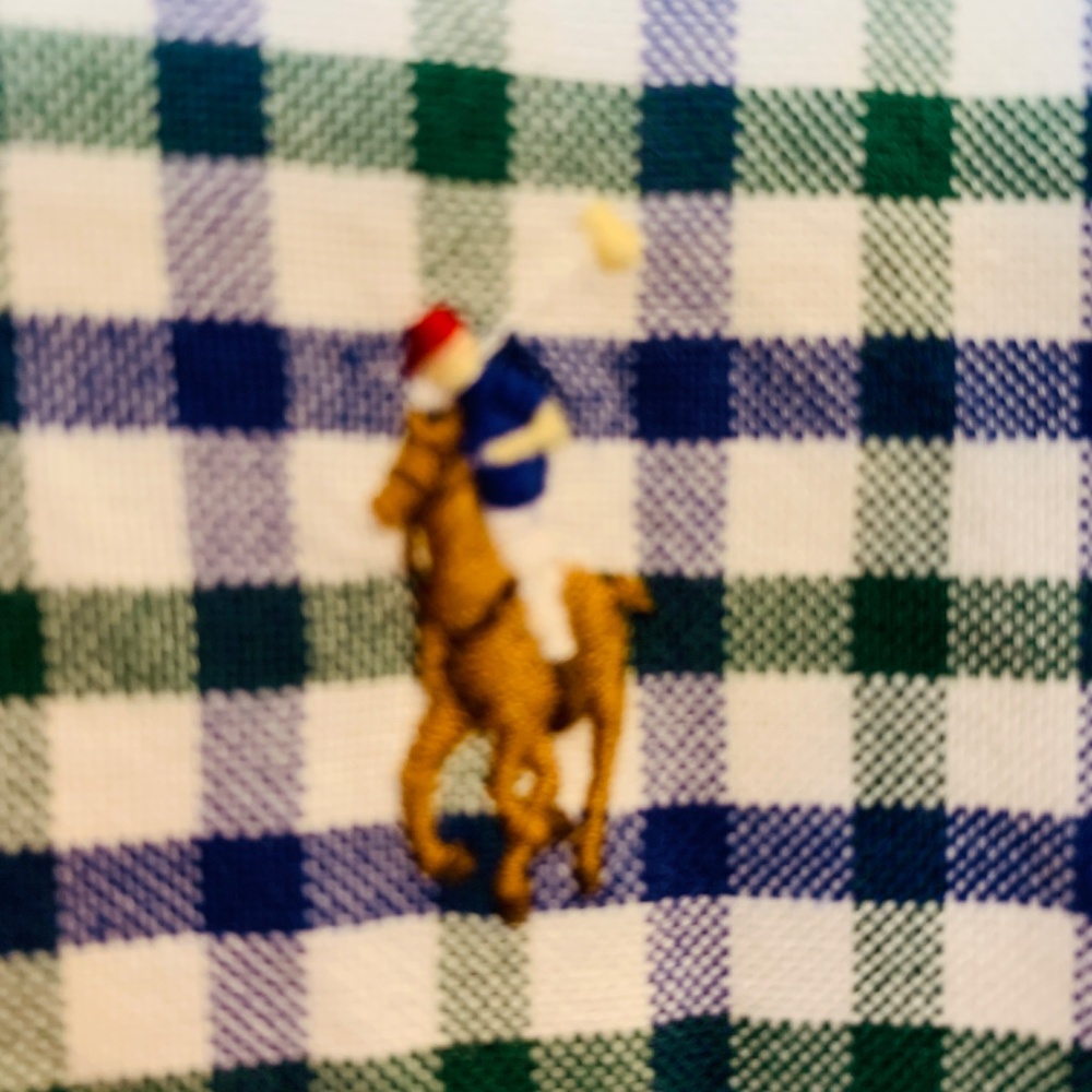 Ralph Lauren Plaid Button Down Shirt Mens Large Blue Green White Checkered Pony - Picture 5 of 15
